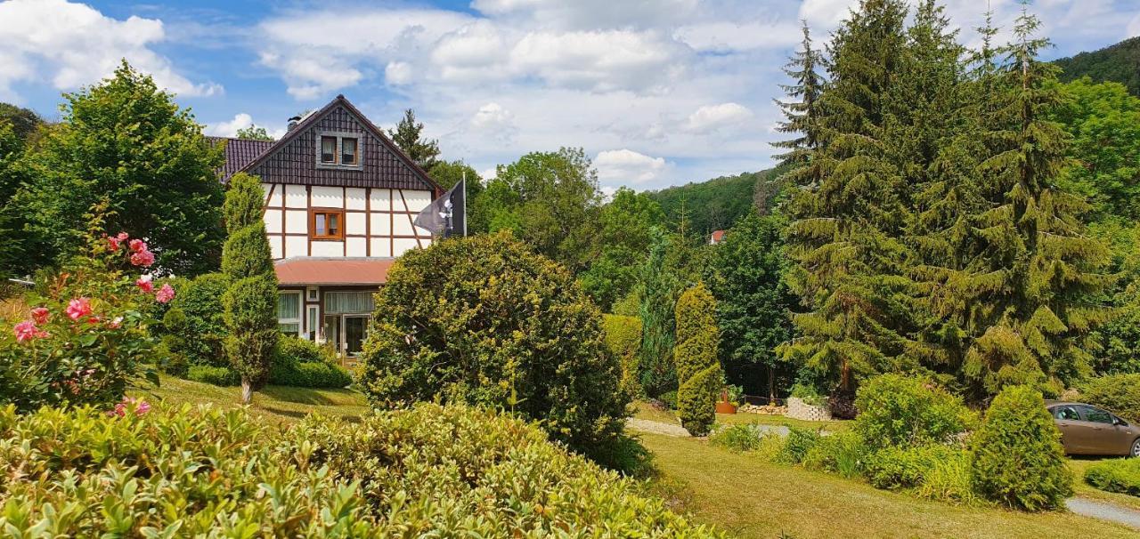 Ferienwohnung Altenbrak Haus Wilde Thale Zewnętrze zdjęcie