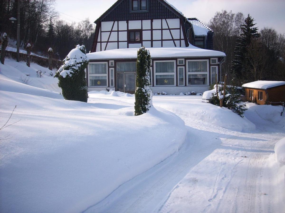 Ferienwohnung Altenbrak Haus Wilde Thale Zewnętrze zdjęcie
