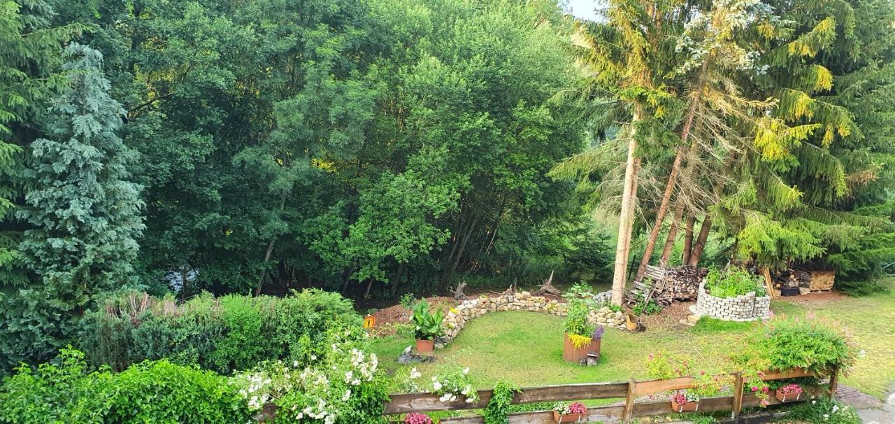 Ferienwohnung Altenbrak Haus Wilde Thale Zewnętrze zdjęcie