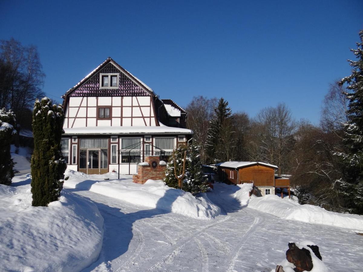 Ferienwohnung Altenbrak Haus Wilde Thale Zewnętrze zdjęcie