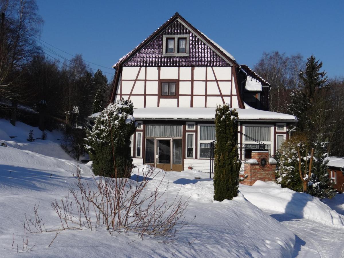 Ferienwohnung Altenbrak Haus Wilde Thale Zewnętrze zdjęcie