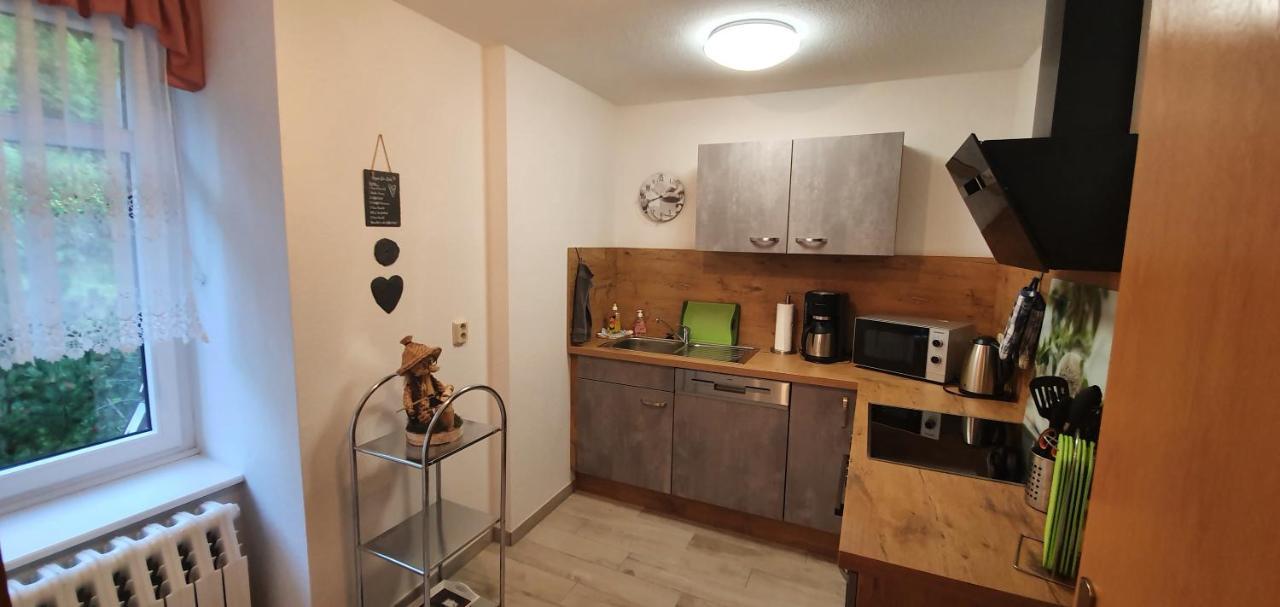 Ferienwohnung Altenbrak Haus Wilde Thale Zewnętrze zdjęcie